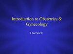 Introduction to Obstetrics & Gynecology - ppt video online d